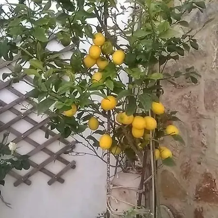 Penzion Maison Bienvenue